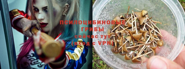мяу мяу мука Горно-Алтайск