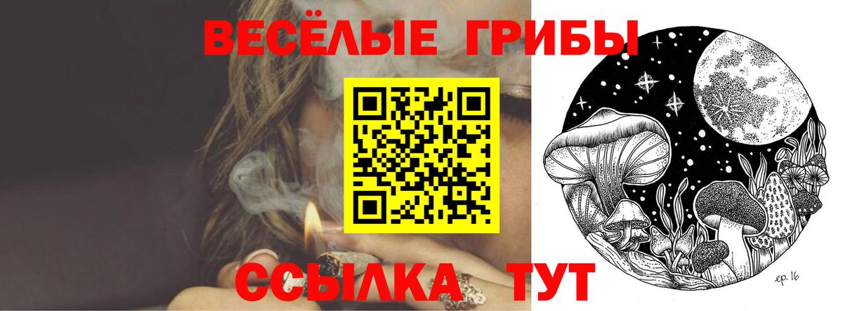 наркошоп  Галлюциногенные грибы Psilocybe  Вход с VPN  Мирный 